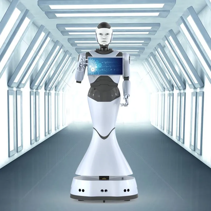 Reeman Robots Accelerate The Layout Of E-commerce Platforms
